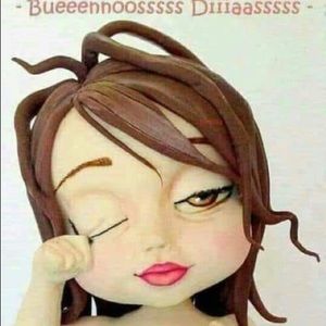 Meet your Posher, Ana